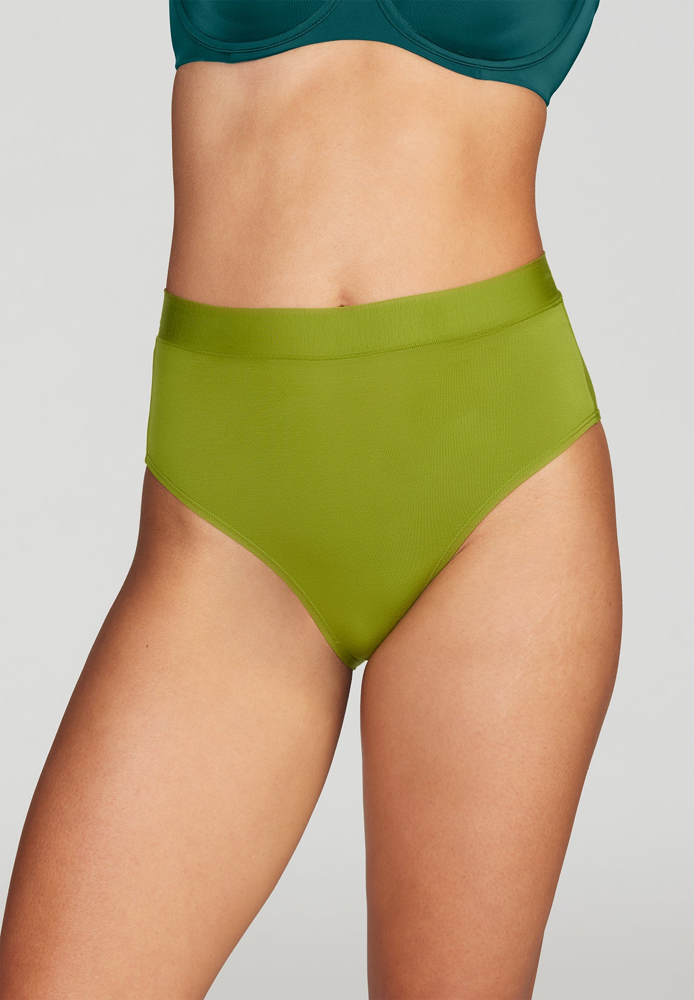 The Highwaist - Modal image number 0