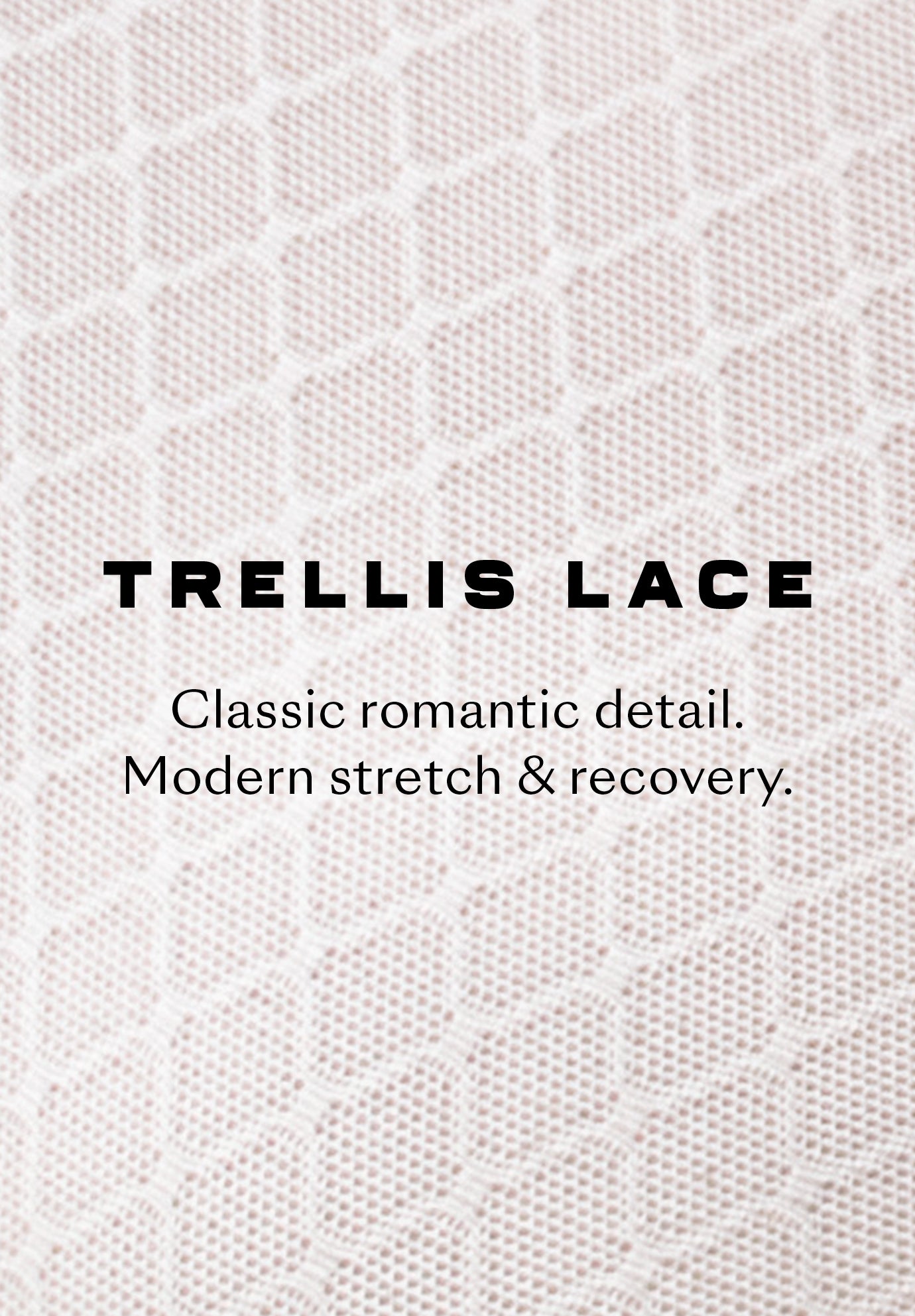The Thong- Trellis Lace image number 10