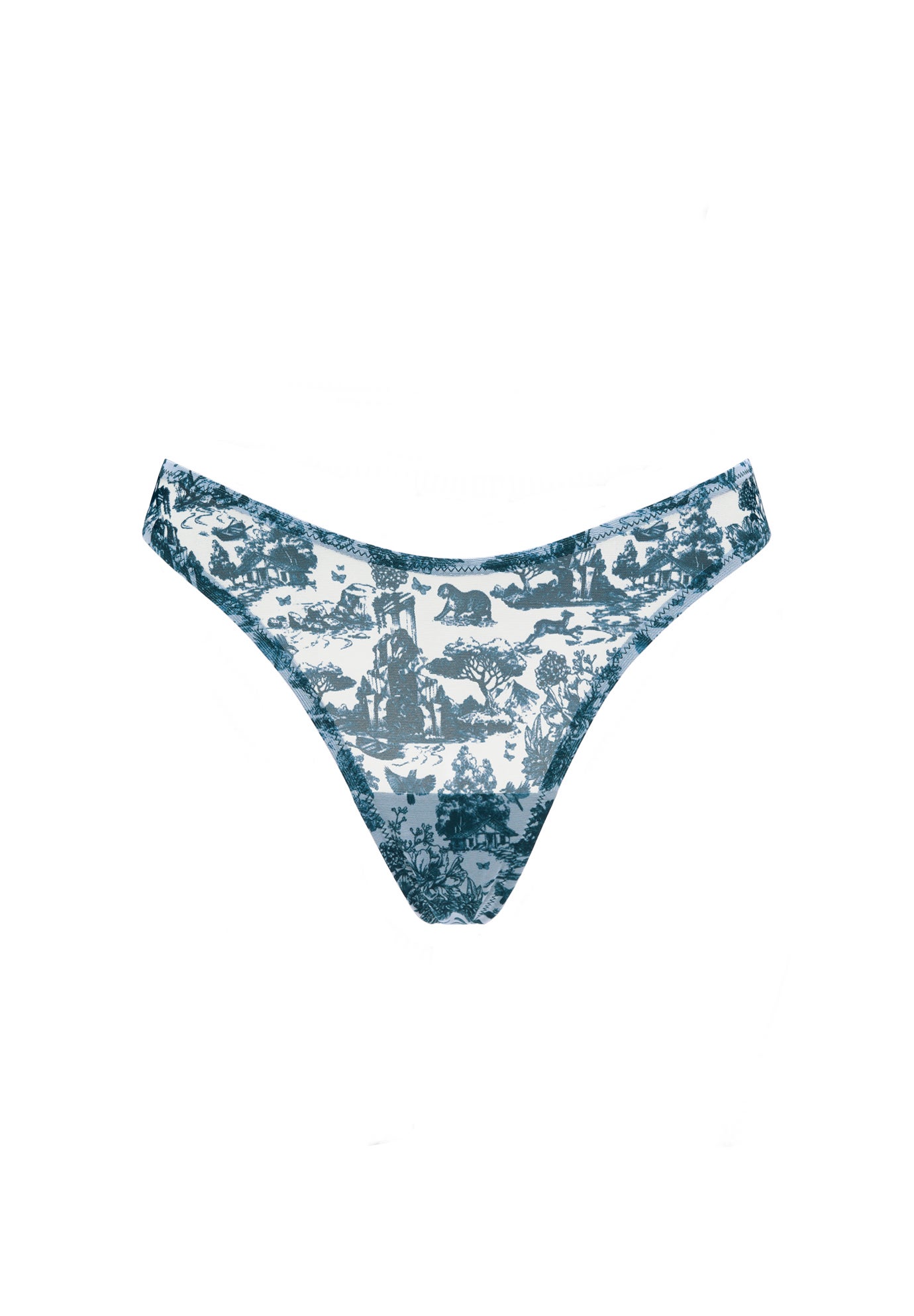 The Thong - Mesh image number 1